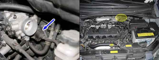 AutoHex Online Help Hyundai GETZ(TB) 2003 Fault Code p0444